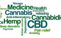 Cannabis Careers Cannabis Careers